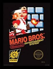 Super Mario Bros